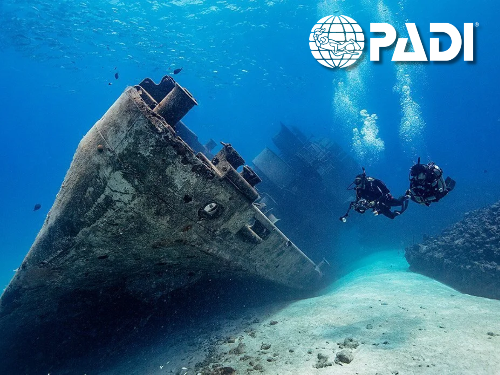 Curso PADI Advanced Open Water en Barcelona – Buceo avanzado en el Mediterráneo desde el Puerto Olímpico-WEB