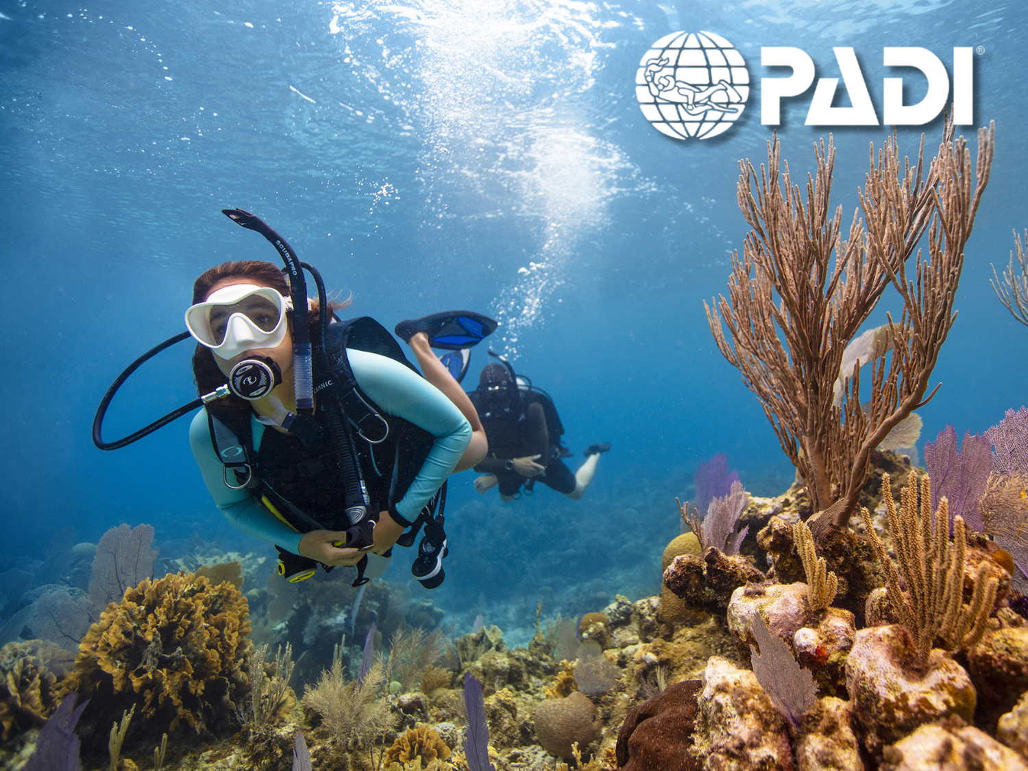 Curso PADI Open Water de buceo en Barcelona con instructores certificados – Aprende a bucear en el Mediterráneo desde el Puerto Olímpico-WEB