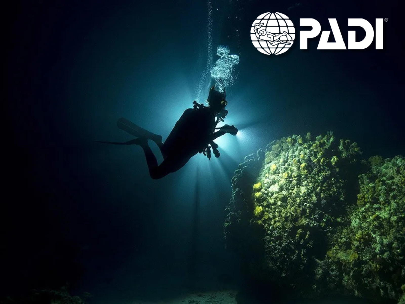 Especialidad de buceo nocturno en Barcelona con PADI
