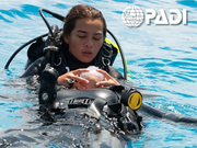 Curso PADI Rescue Diver en Barcelona – Formación en rescate y gestión de emergencias subacuáticas en el Puerto Olimpico Mar mediterraneo