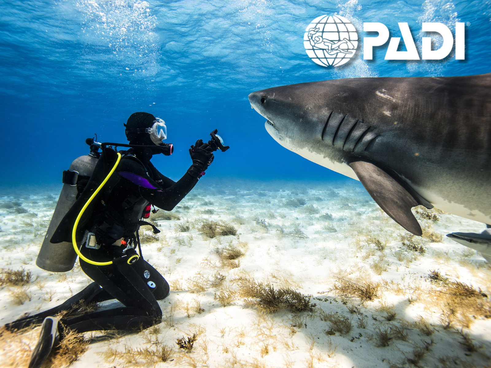Cargar vídeo: Video advanced open water