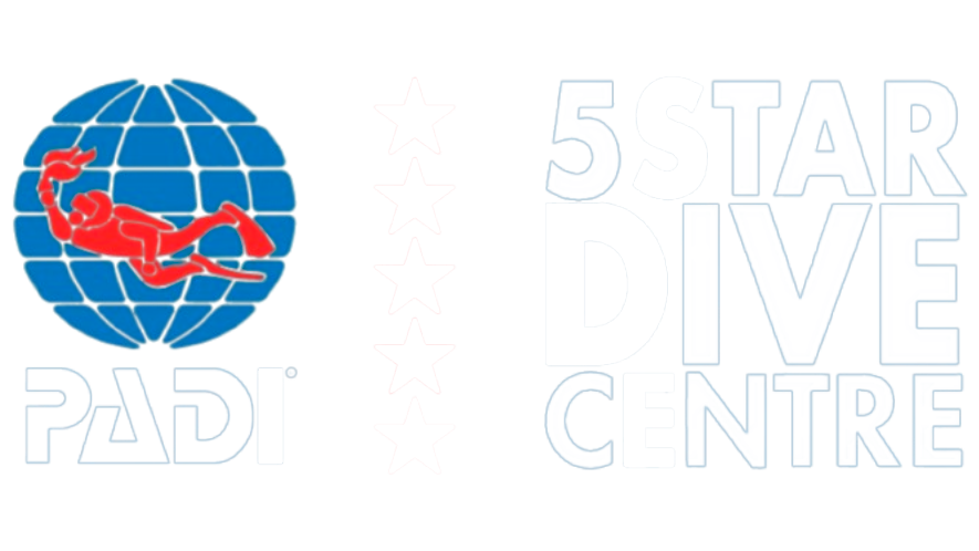 Logo PADI 5 estrellas