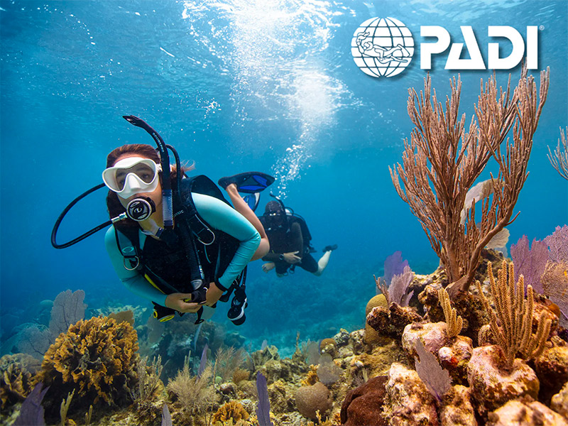 PADI Open Water Diver en Barcelona