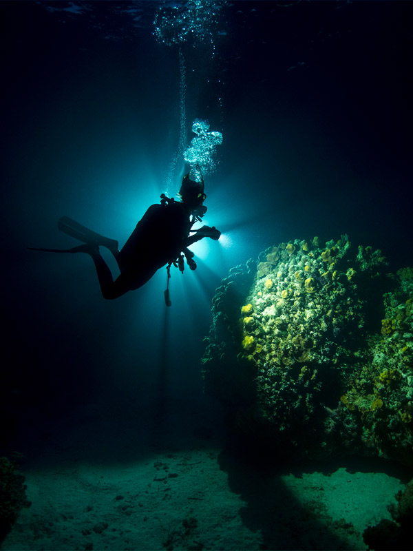 Advanced Open Water Diver