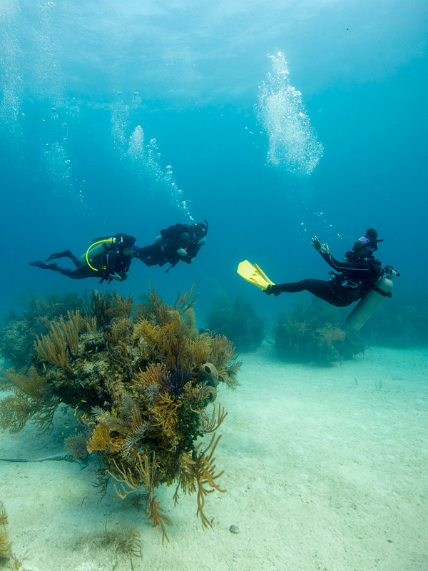 Bautizo de Buceo