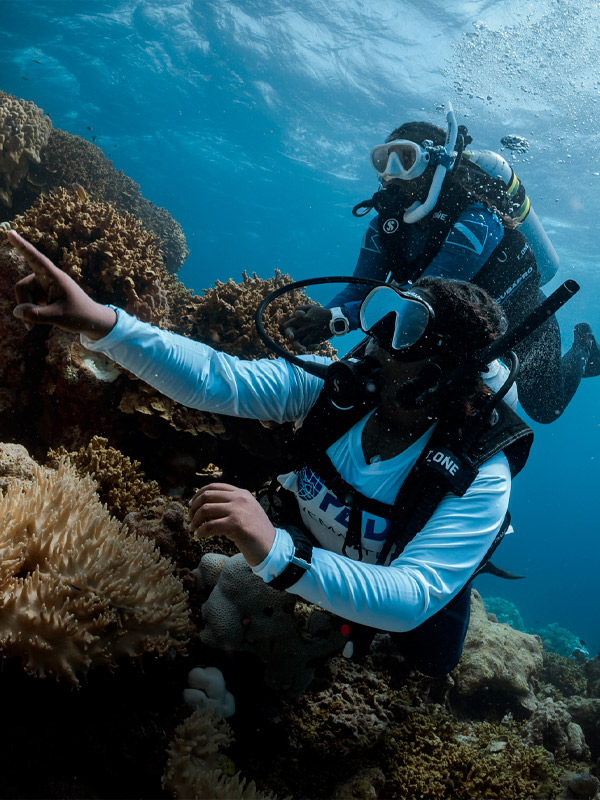 PADI Divemaster en Barcelona