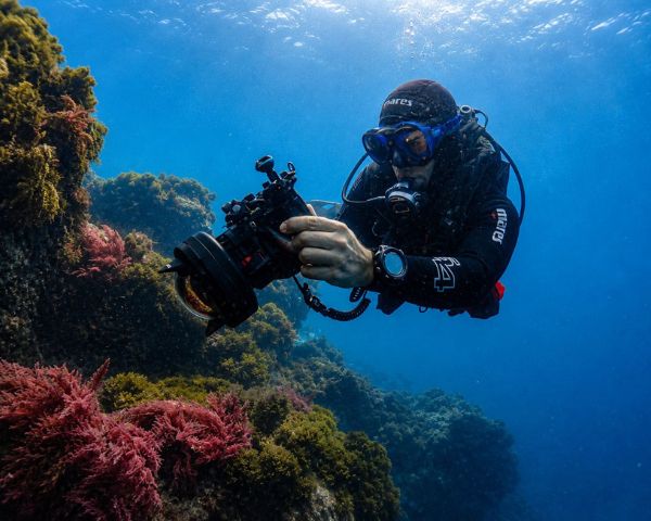 como es el buceo en barcelona