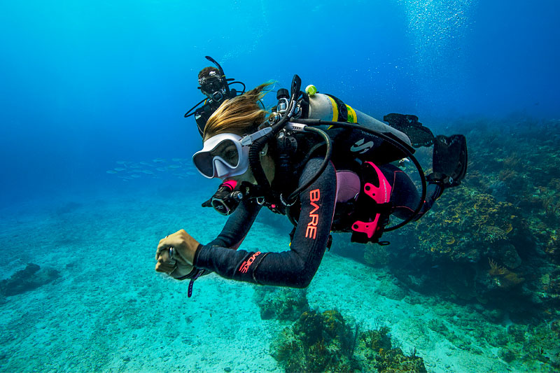 Diferencias Divemaster e Instructor Buceo