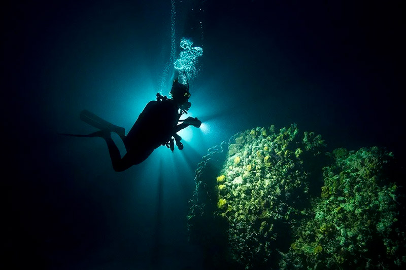 especialidades de buceo padi en barcelona