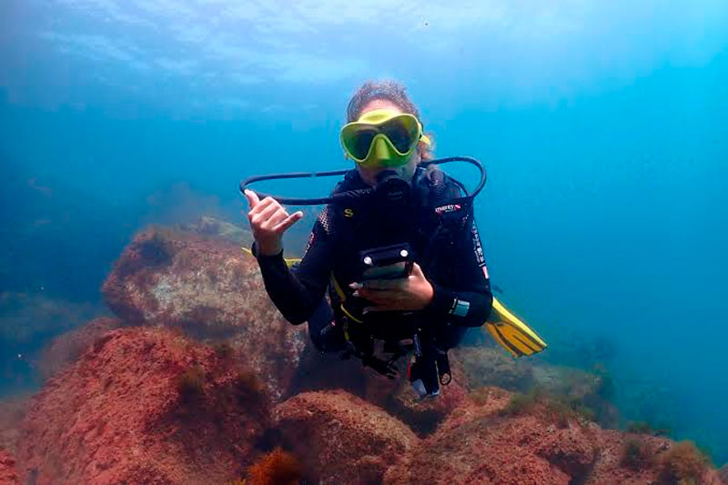 Mejor epoca de buceo en Barcelona