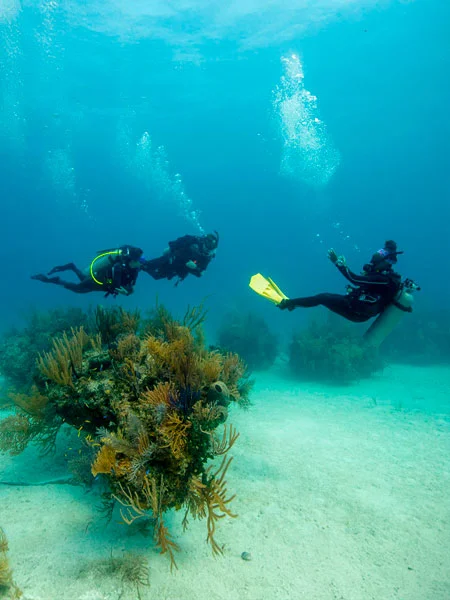 Bautizo de Buceo en Barcelona
