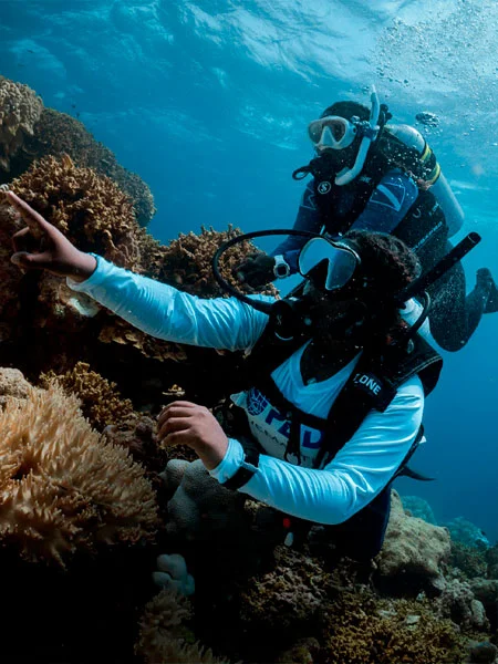 PADI Divemaster en Barcelona
