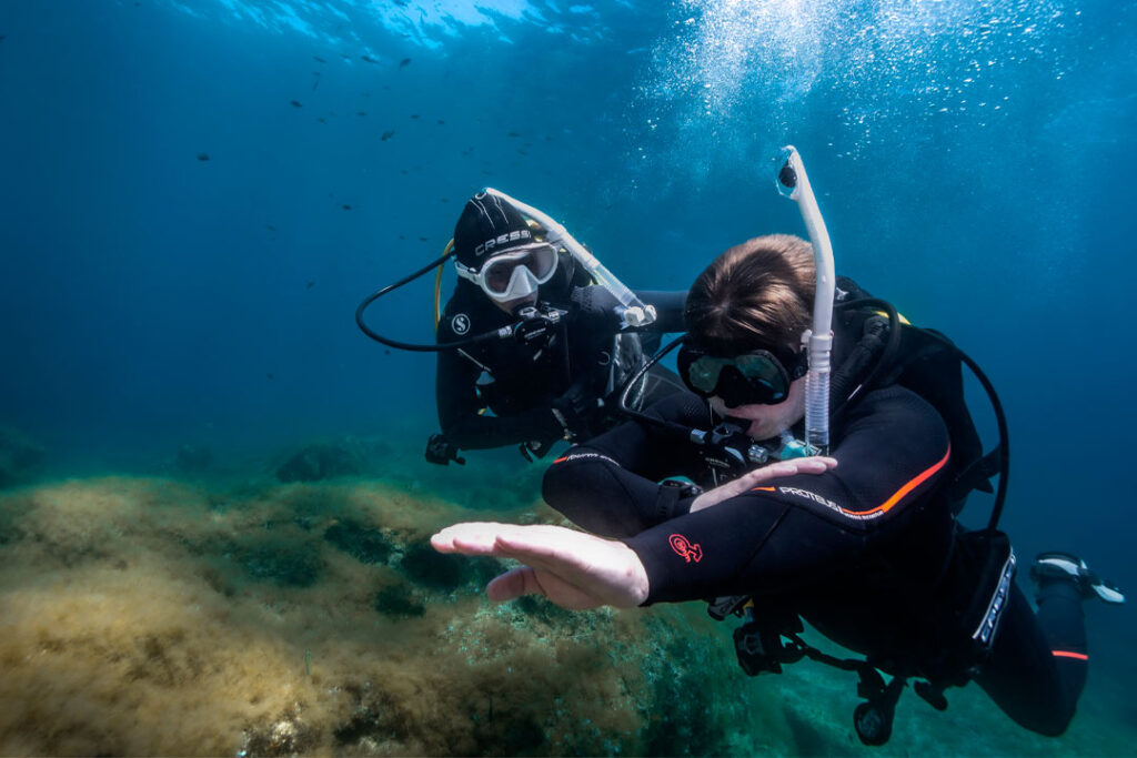 Curso PADI IDC en Barcelona