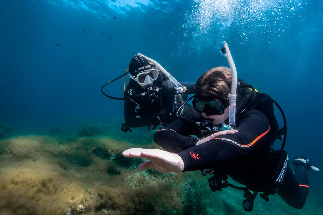 Curso PADI IDC en Barcelona